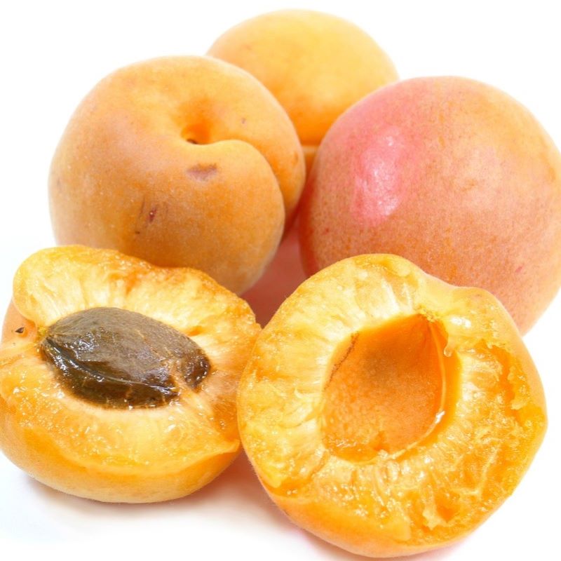 apricot