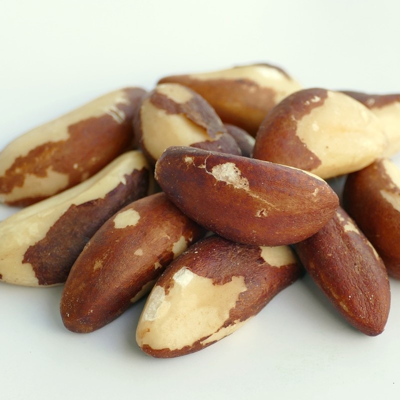 Brazil nut