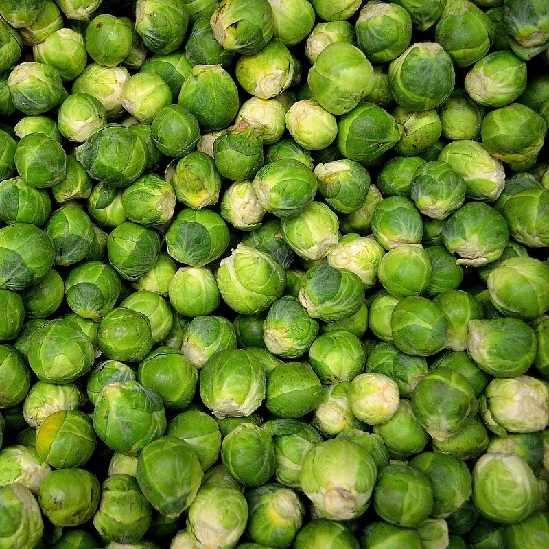 Brussels sprout