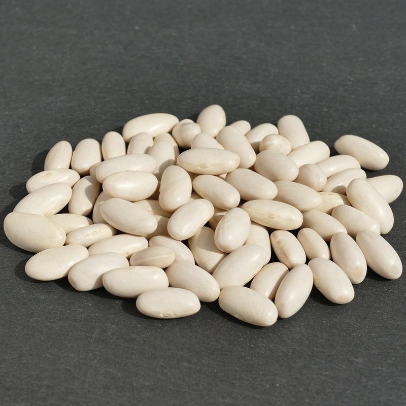 cannelini bean