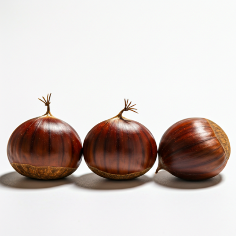 chestnut