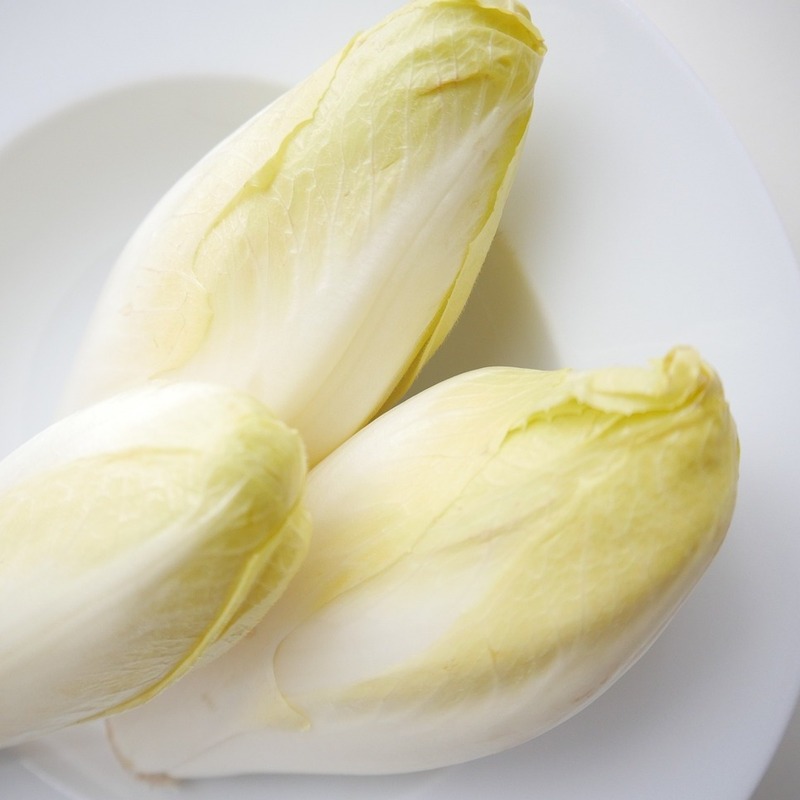 chicory