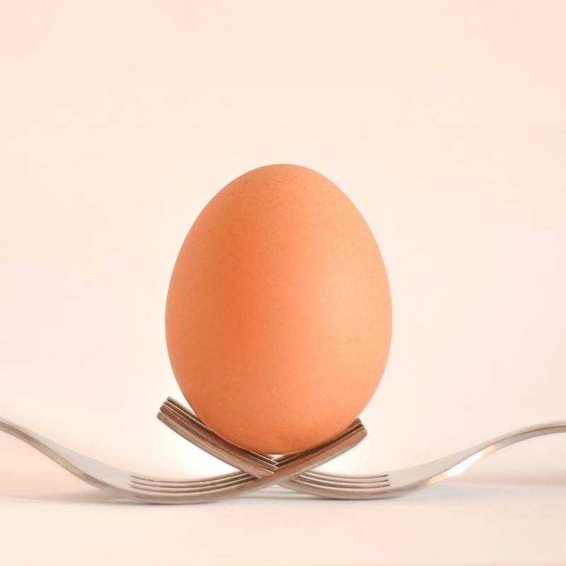 egg