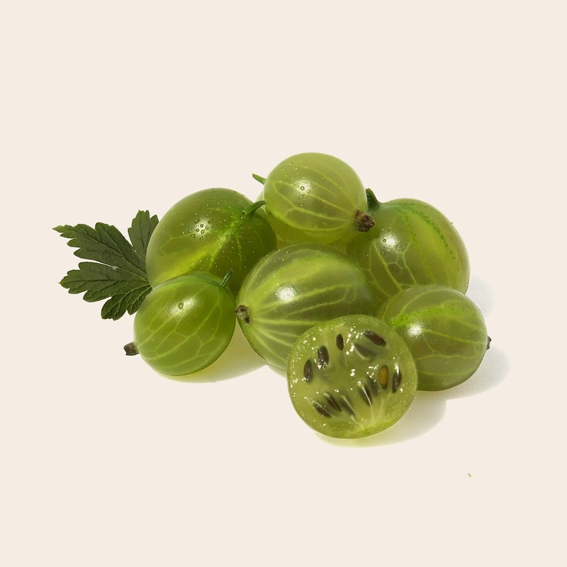 gooseberry