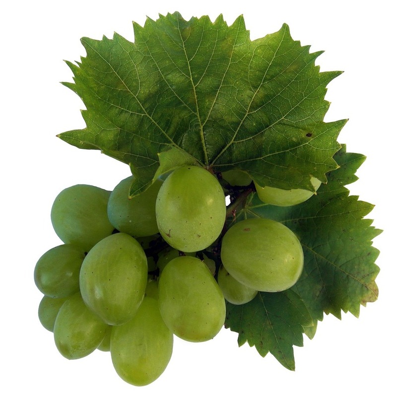 grape