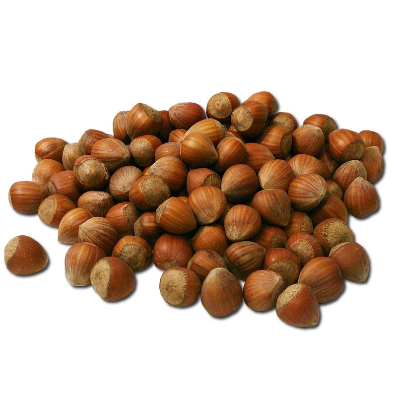 hazelnut