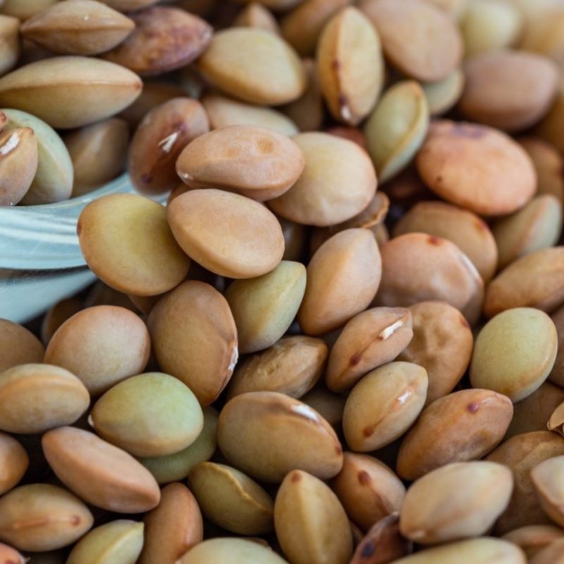lentils