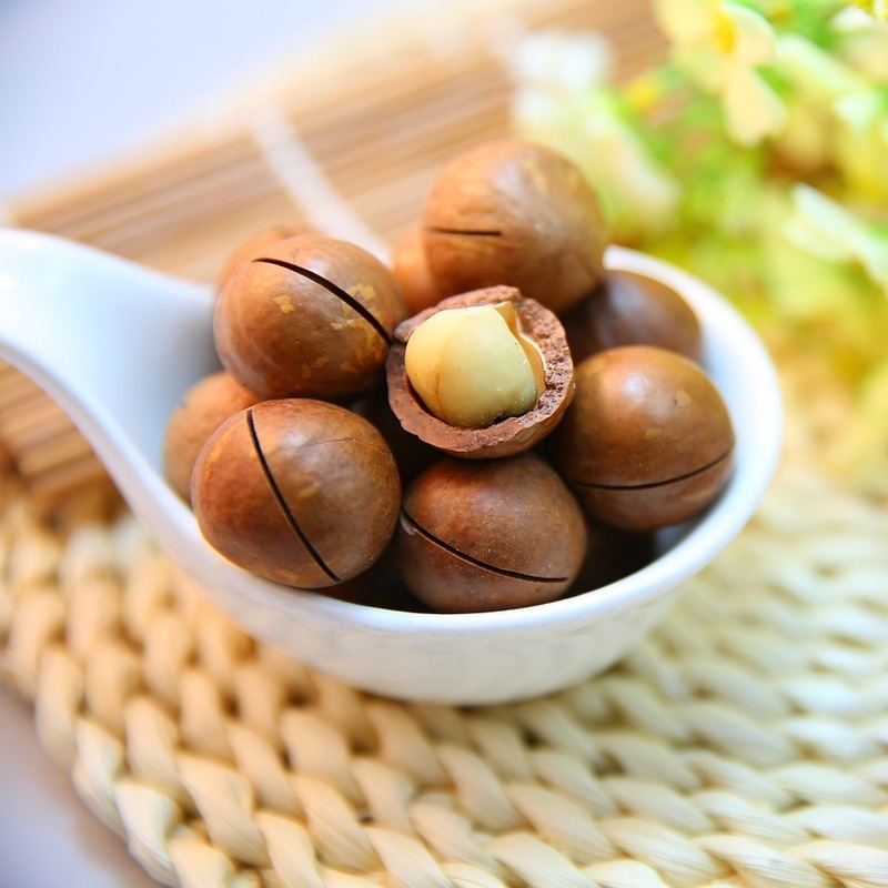 macadamia nut