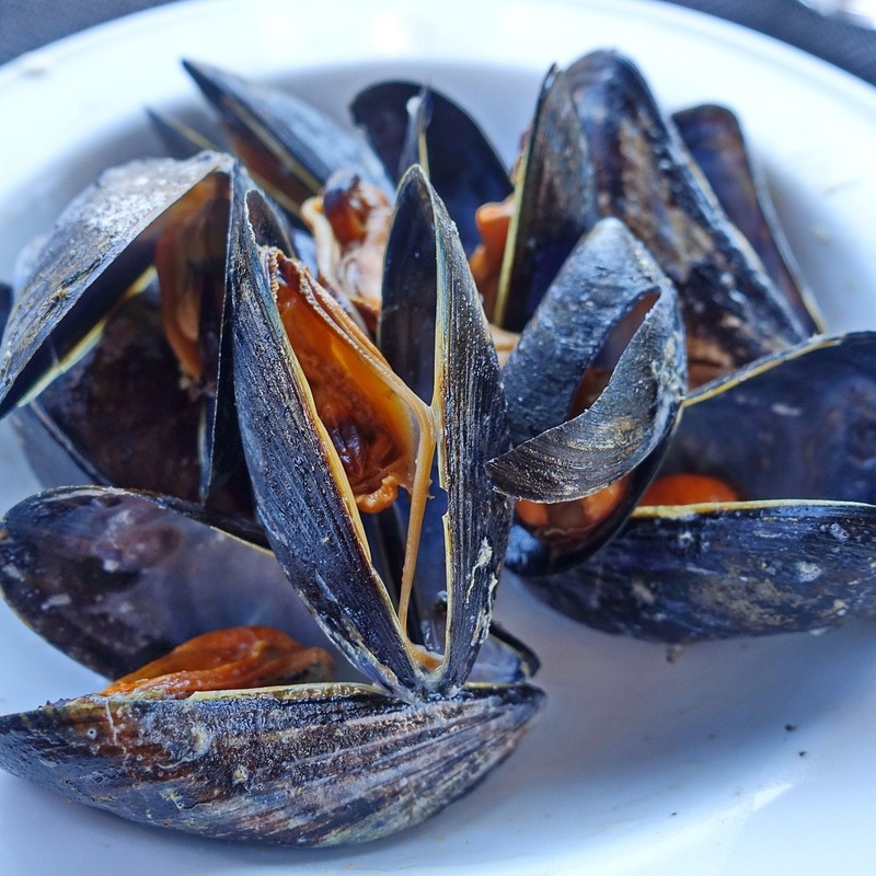 mussel