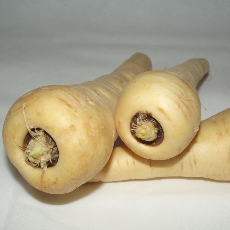 parsnip