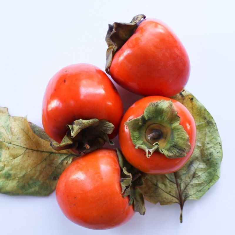persimmon