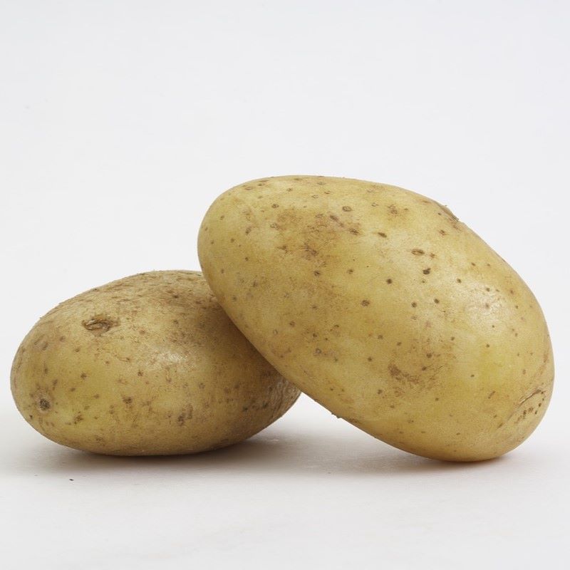 potato