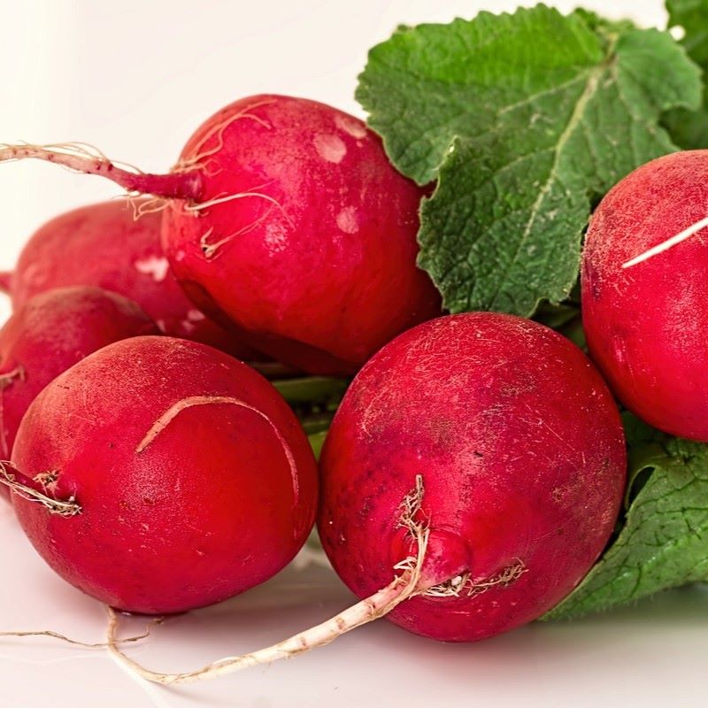 radish