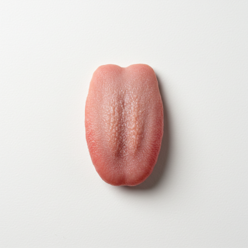 tongue