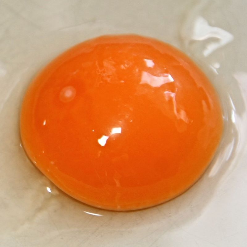 yolk